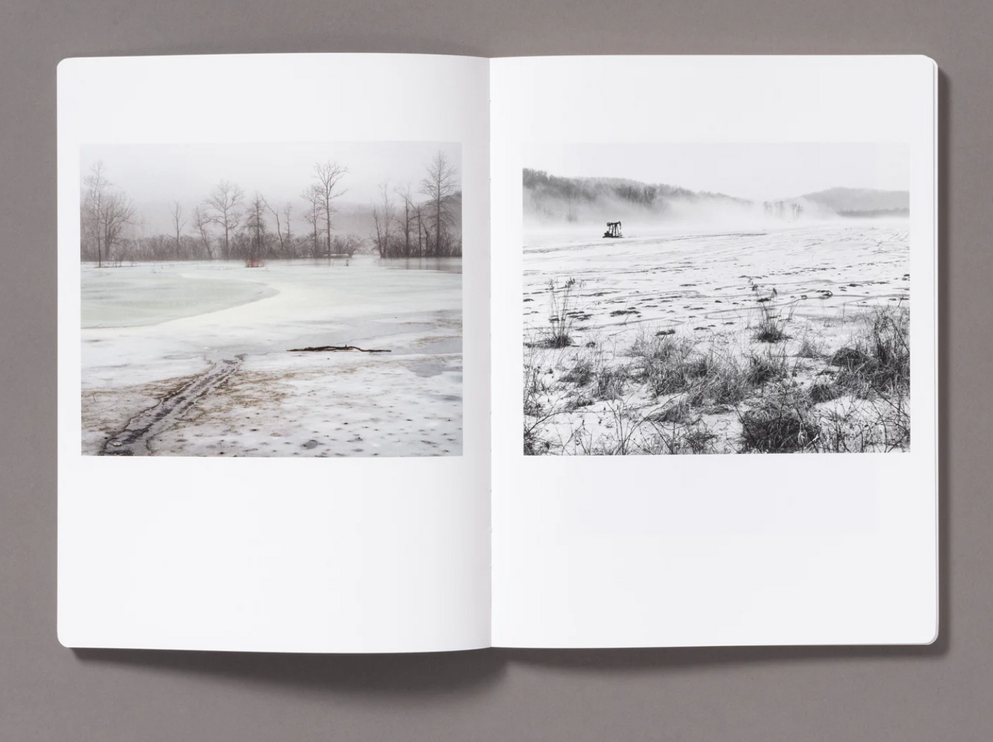 SNOW by Vanessa Winship